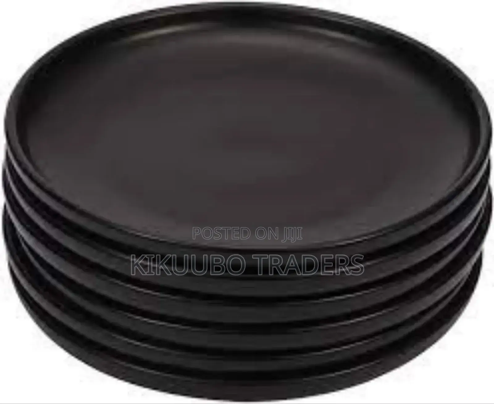 6 Pieces Dinner Plates