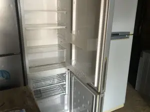 Samsung Silver Double Door Fridge