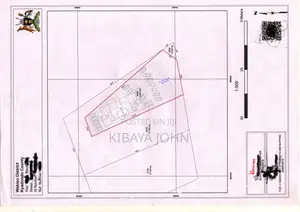 Site and Engineering Surveys