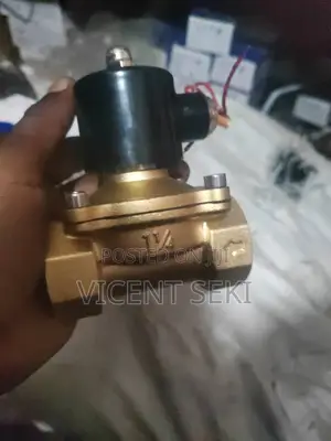 Brass Solenoid Valve and Stainless Steel