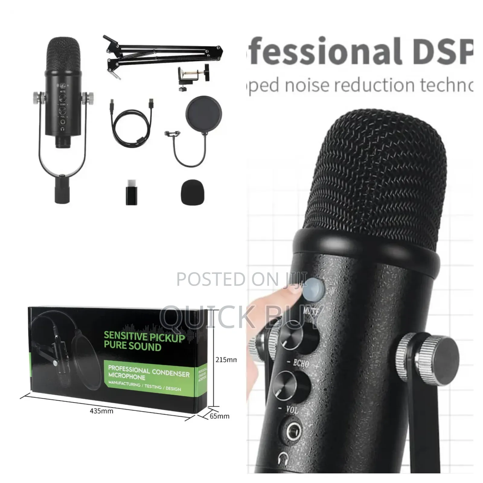 New Professional Condenser Microphone