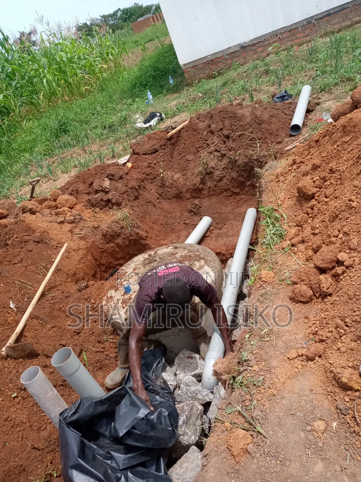 Biodigester Septic System