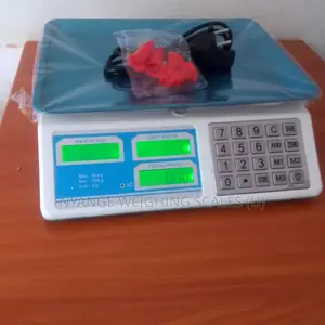 Digital Electronic Weigh Scale Balance Weighing Scale 40kg D=5g Weight