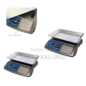 Professional Electronic Digital Price Computing Scale