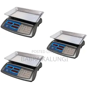 Professional Electronic Digital Price Computing Scale