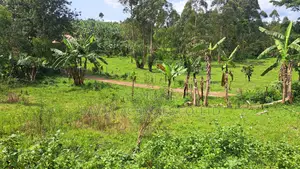 Large Plot of Land in Kiguma, Fort-Portal City