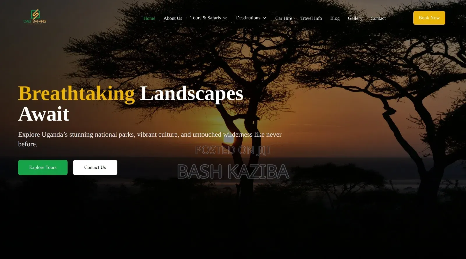 Awesome Websites, Mobile Apps and Ai Systems 4 Ur Business