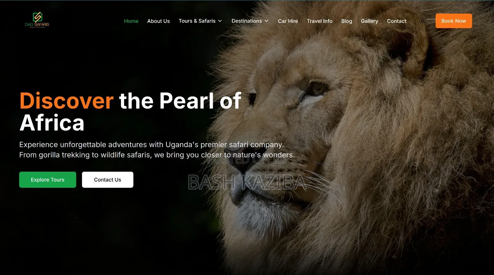 Awesome Websites, Mobile Apps and Ai Systems 4 Ur Business