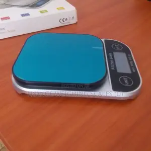 Industrial Weighing Scale Digital Weigh 3kg /0.1g Weighing Scale