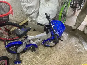 Blue Kids Bicycle