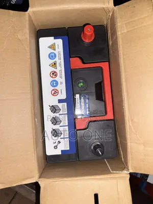 Ns60-45ah Power +