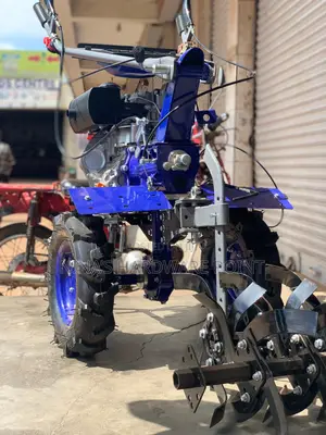 Garden Tiller (Diesel Engine)