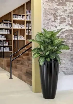 Fresh and Fabulous Flowers