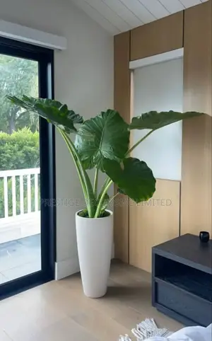 Flower Vessel