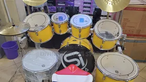 Professional Drum Set, Acoustic Drum Set,