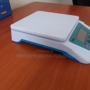 Electronic Weighing Scale Portable Digital Food Weigh Scale