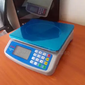 Table Mini Weighing Scale 30kg Digital Kitchen Weigh Scale