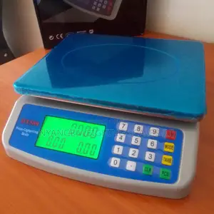 Balance Weighing Table Top Weigh Scale 30kg/5g Digital Weighing Scale