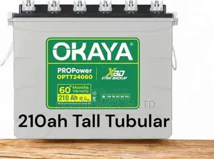 210ah Tall Tubular Solar / Backup Battery