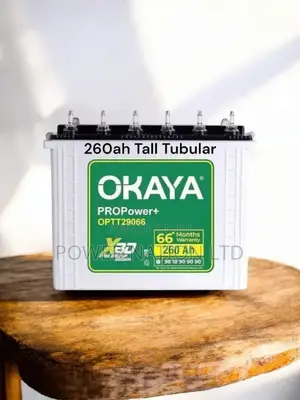 260ah Tall Tubular Solar / Backup Battery