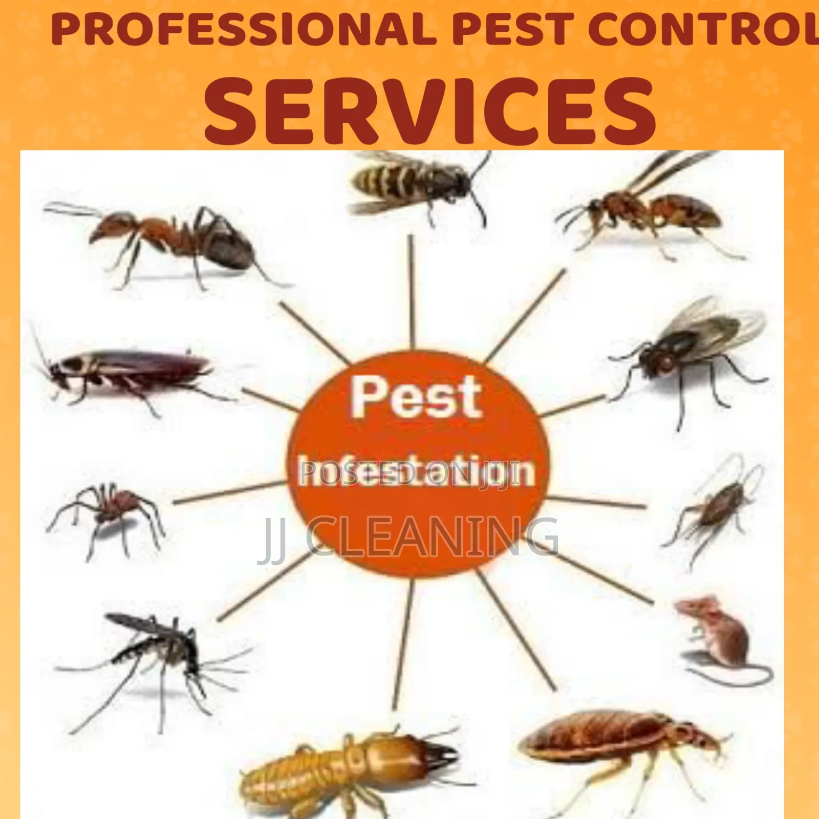 Pest Control Services