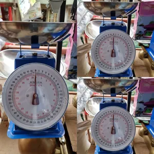 Blue Stainless Steel 20kg Business Spring Scale