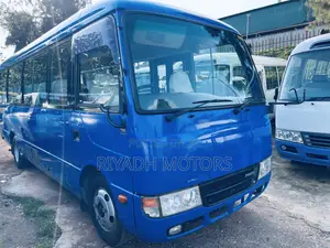 Mitsubishi Fuso Rosa 2013 Blue