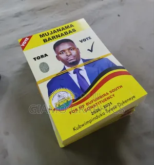 Political Campaign Posters and Flyers