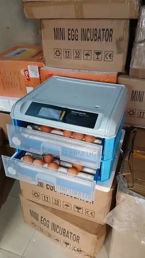 130eggs Automatic Incubator