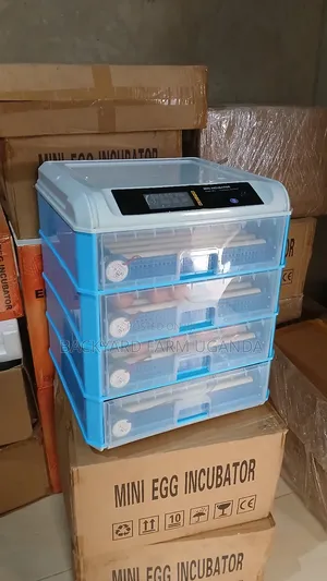 265eggs Incubator