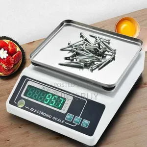 High Precision Accuracy Laboratory and Kitchen Scale