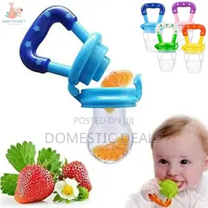 Baby Fruit Feeder