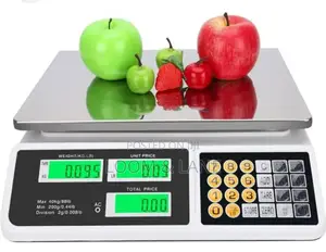Rechargeable Price Computing Scale