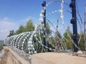 Electric Fence With Lazor Wire