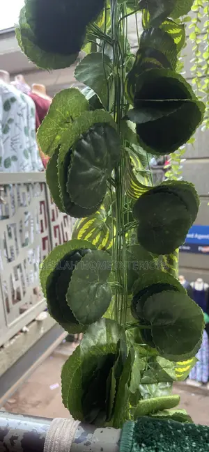 Artificial Leaves