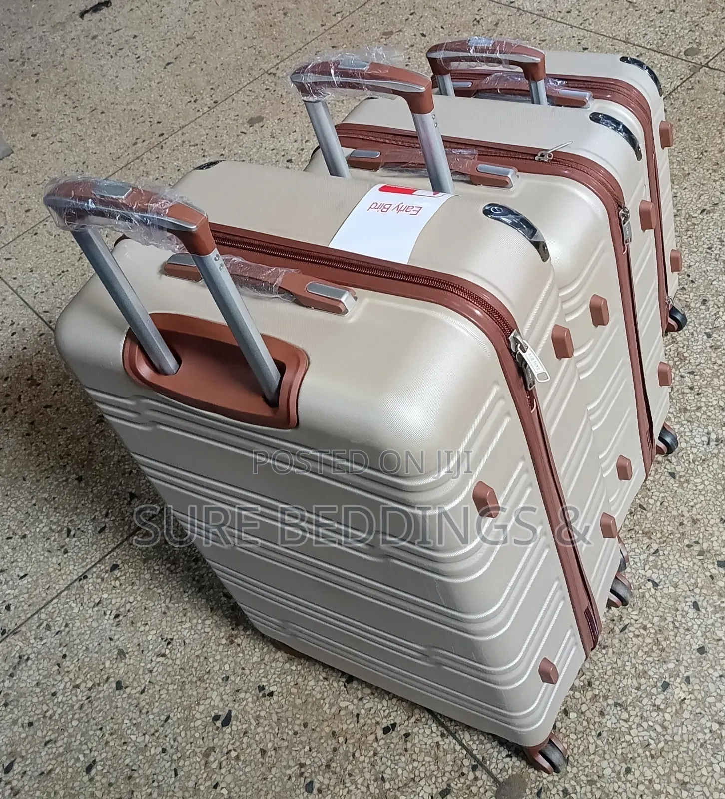 Early Bird Suitcase Set