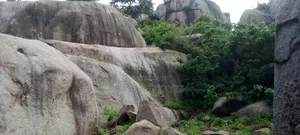 Land With Granite Rock