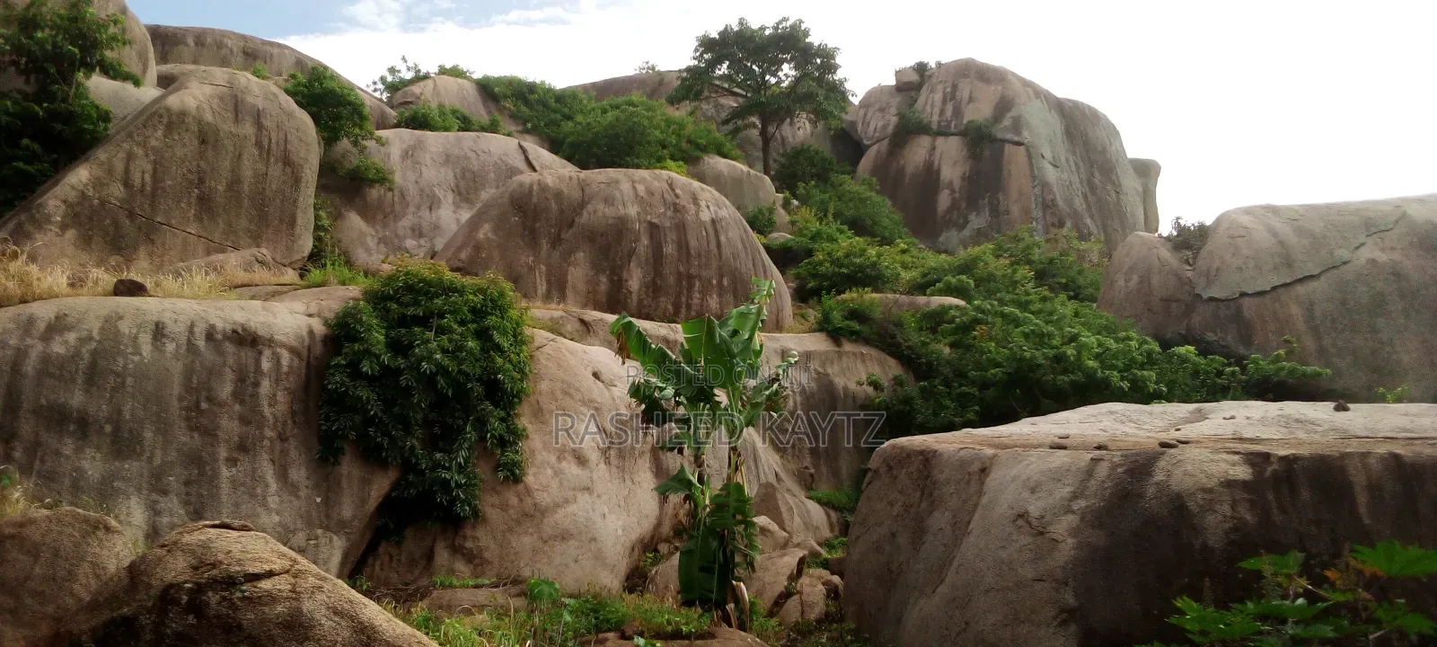Land With Granite Rock