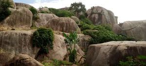 Land With Granite Rock