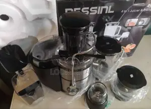 Ds-629 Dessini Juicer