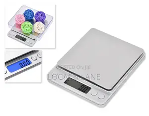 Professional Digital Table Top Scale