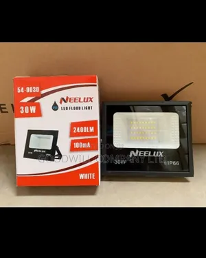 30w Ac Flood Light Brand New