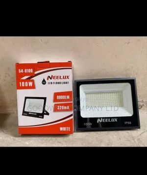 100w Ac Flood Light Brand New