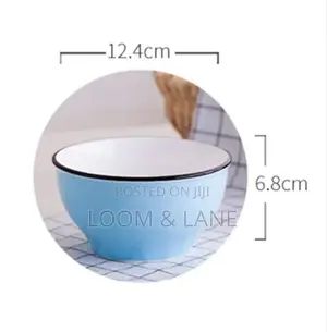 12pcs Dinner Plate Ceramic Bowls