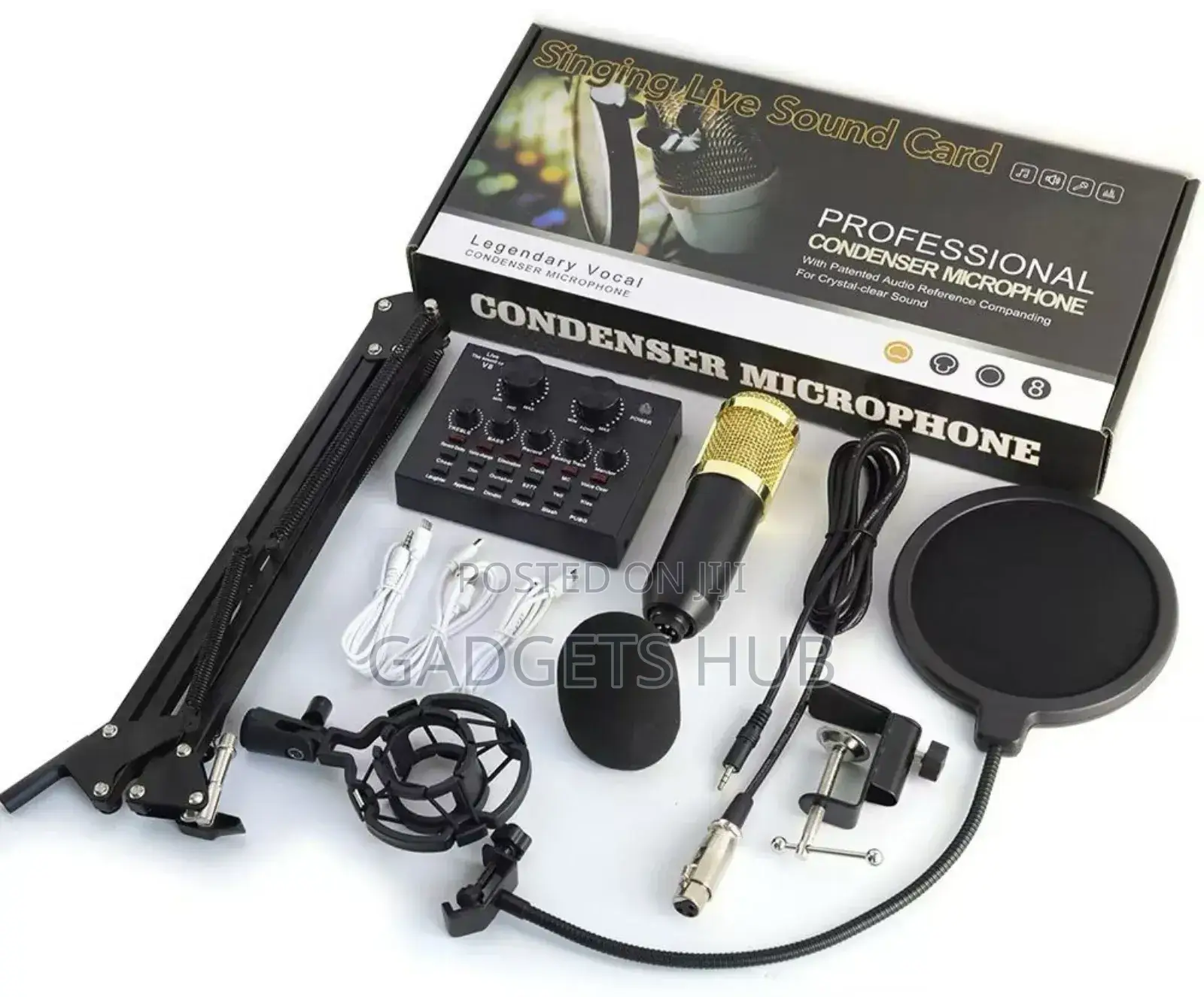 Professional Condenser Microphone
