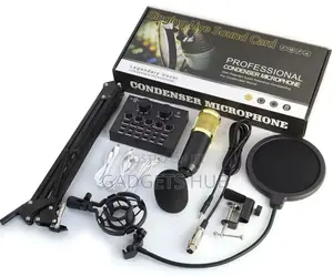 Professional Condenser Microphone