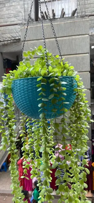 Hanging Flowers