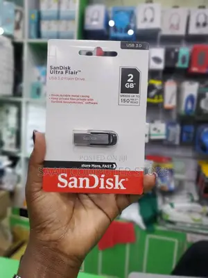 2gb Flash Disk