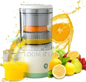 Electric Juicer Press Slow Fruits Squeezer