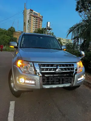 Mitsubishi Pajero 2013 Silver